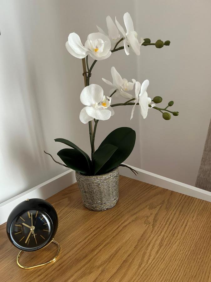 타란토 Mansarda Luxury 아파트 외부 사진